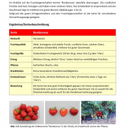 Artikel Rendezvous pag 2