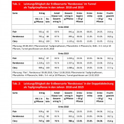 Artikel Rendezvous pag 3