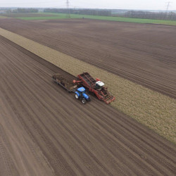 asperges rooien drone